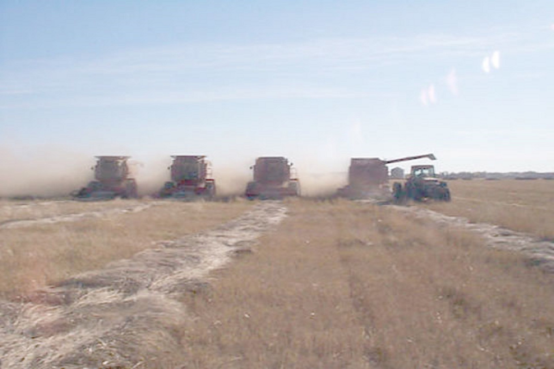 Projected Record Large Corn Crop; Lower Prices