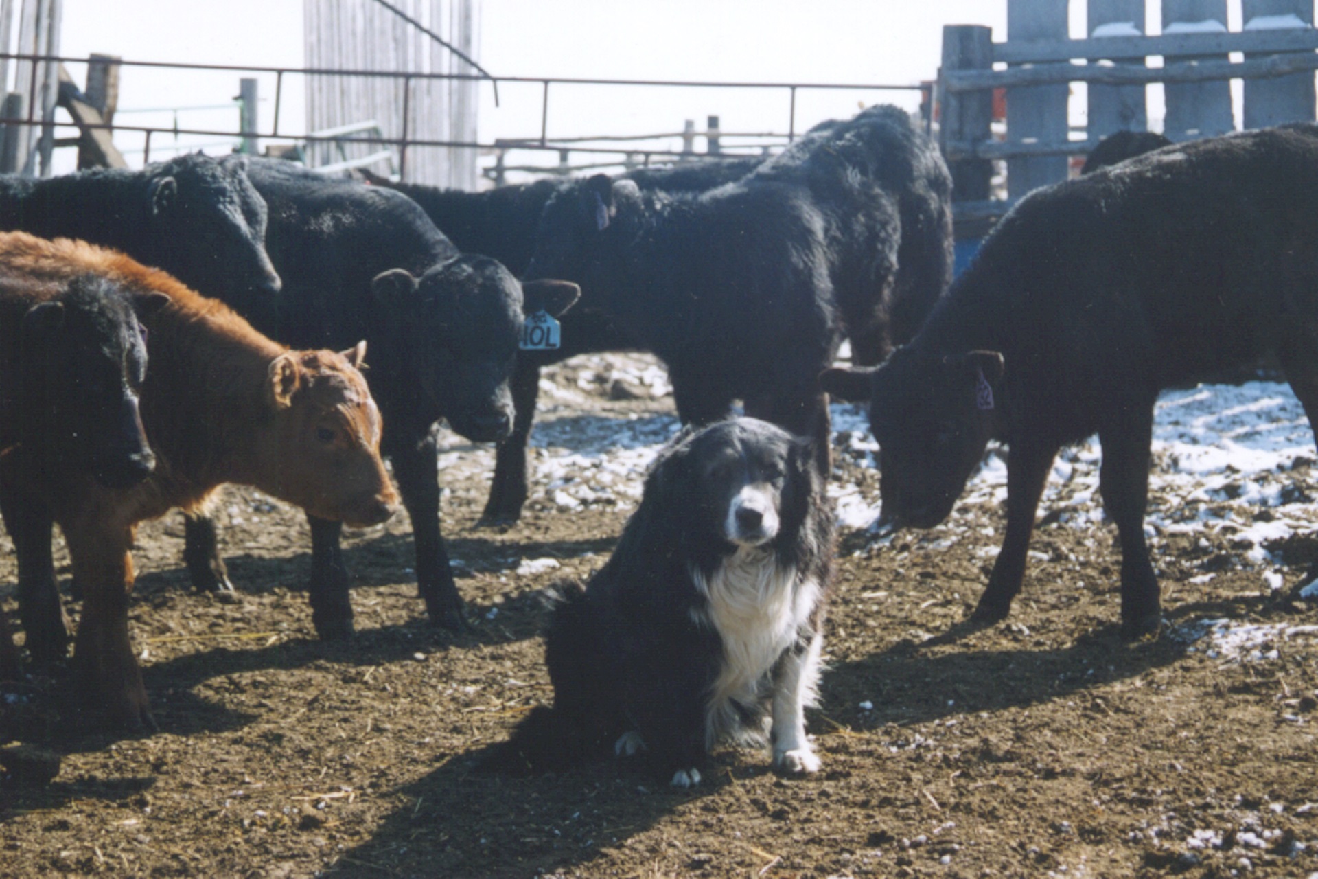 Trends Report Update