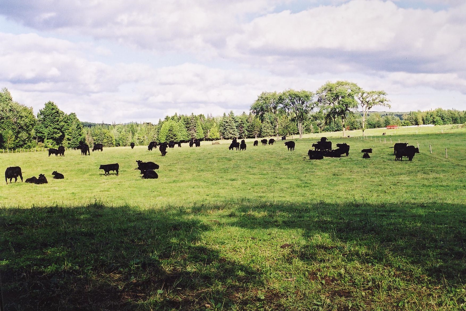 Grasser Margins Face a Challenging Season