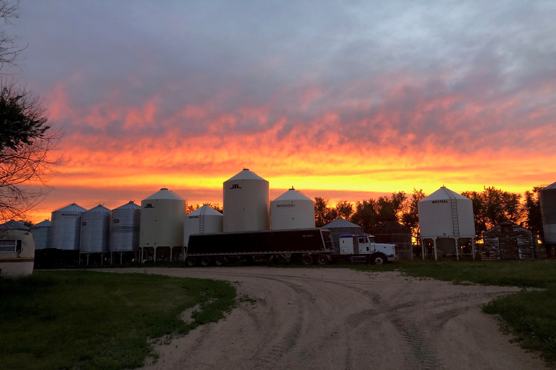 Cattle and Calves Lead Farm Cash Receipts